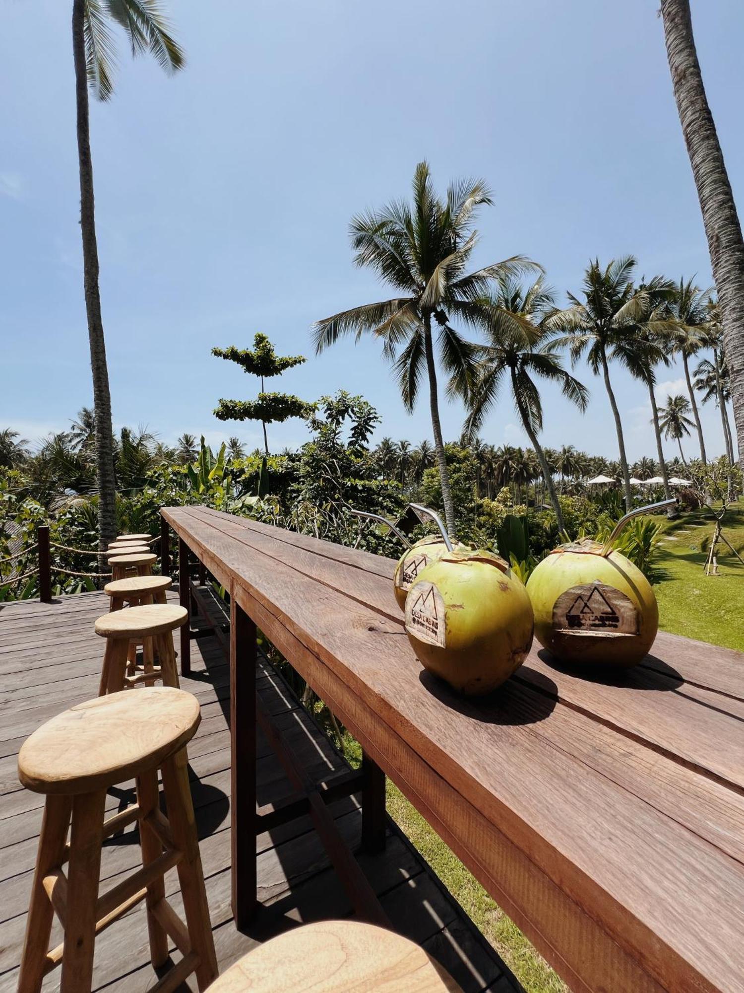 Desa Cabins Balian Buitenkant foto
