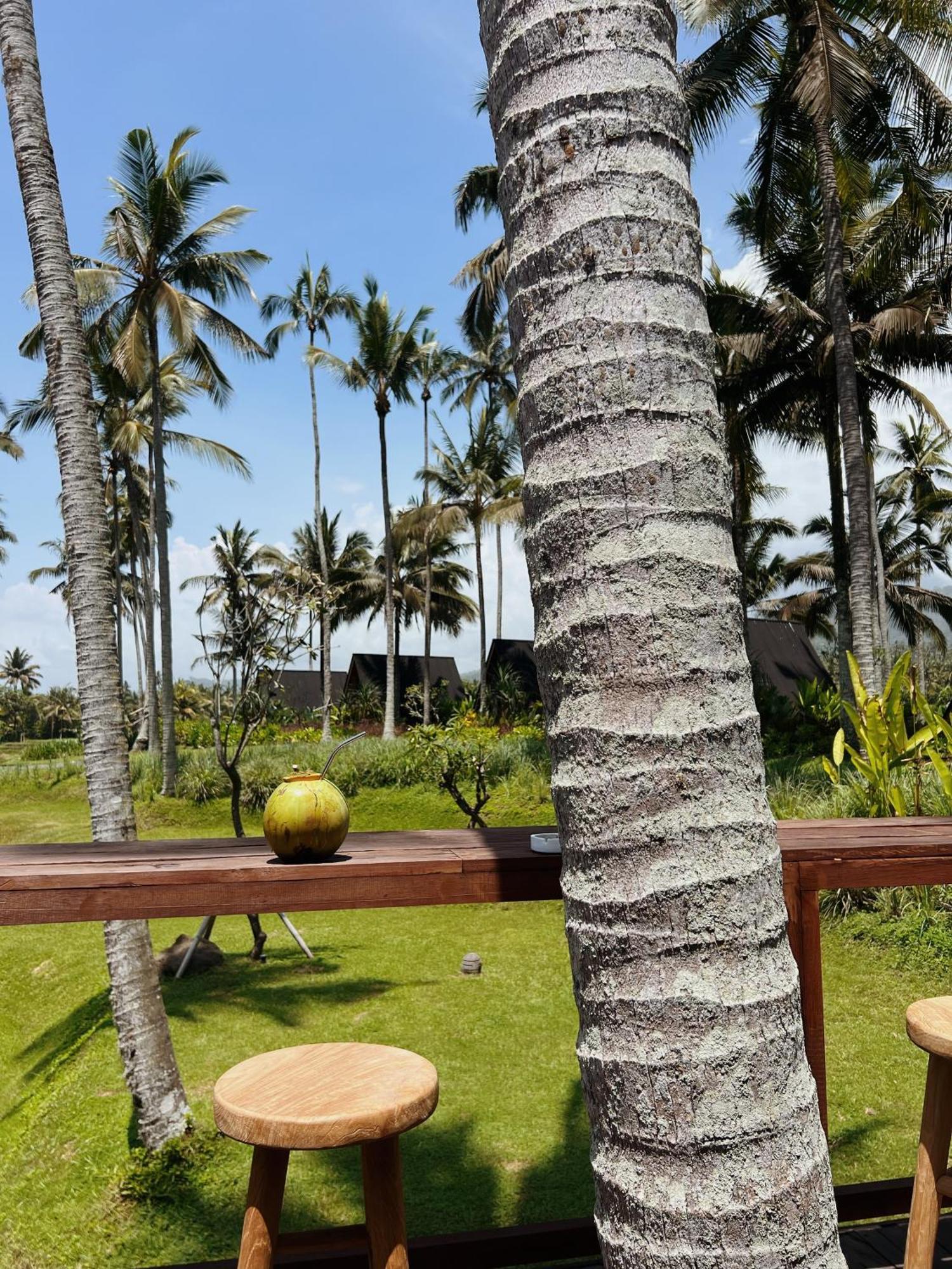Desa Cabins Balian Buitenkant foto