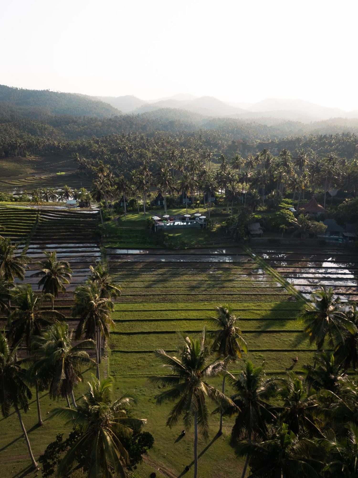 Desa Cabins Balian Buitenkant foto